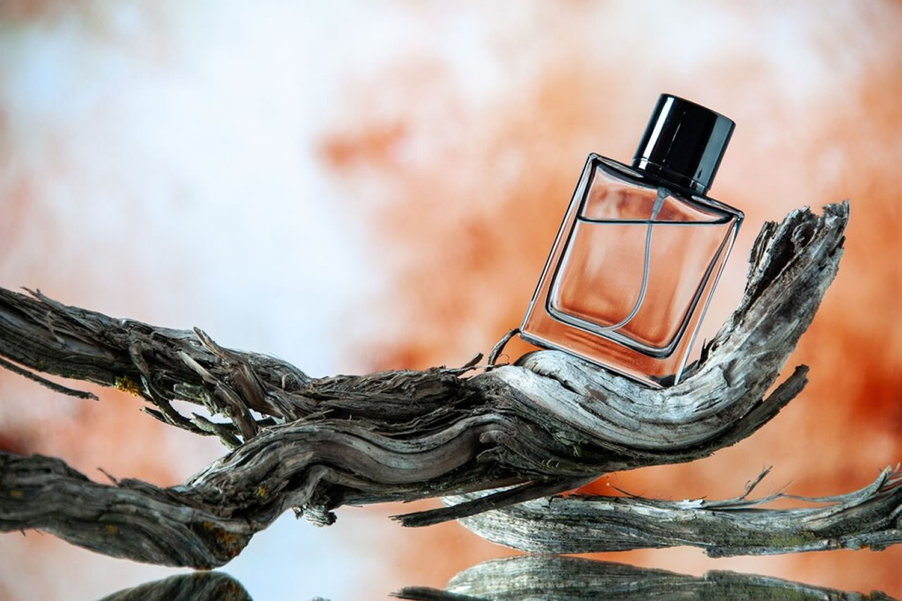 Leia mais sobre o artigo Os melhores perfumes contratipos de 2024: Qual escolher?