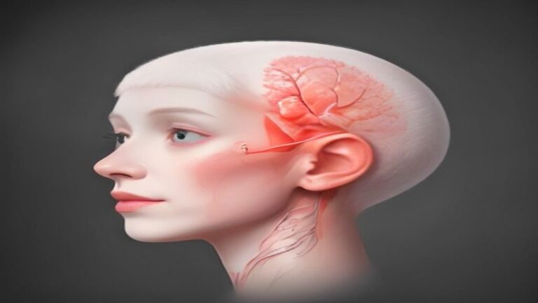 Parte do corpo com G: Lista completa e curiosidades anatômicas